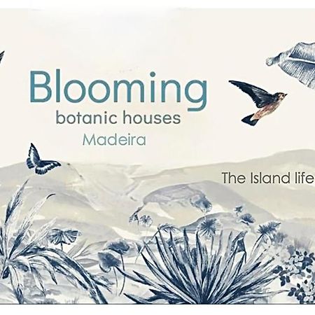 Blooming Botanic Houses Estreito Da Calheta Exterior photo