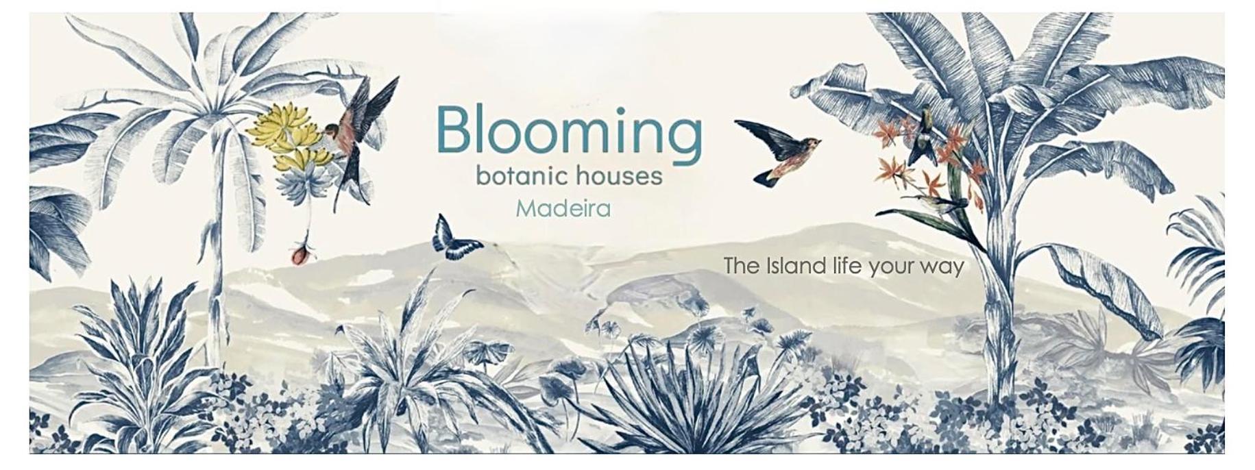 Blooming Botanic Houses Estreito Da Calheta Exterior photo