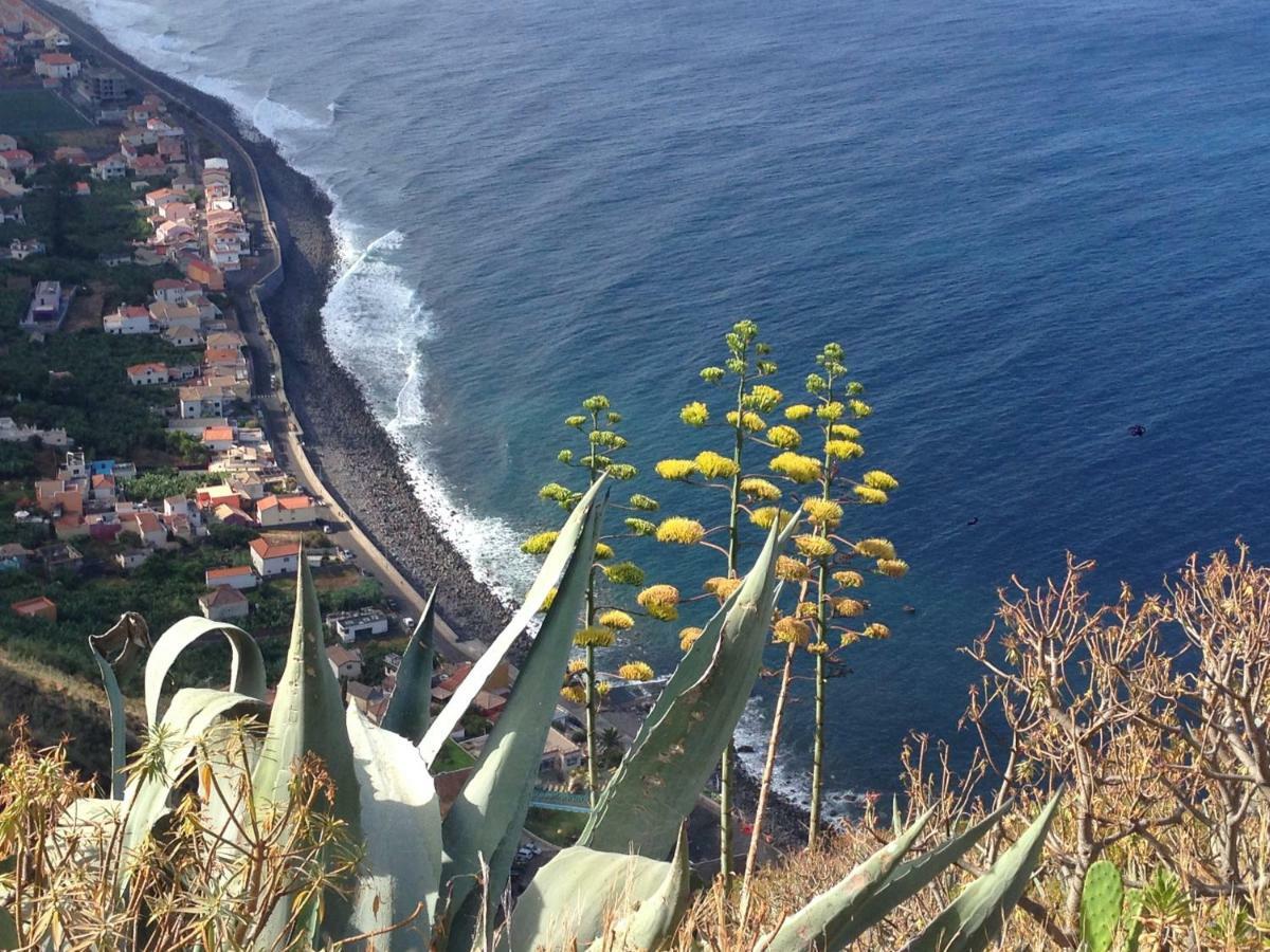 Blooming Botanic Houses Estreito Da Calheta Exterior photo