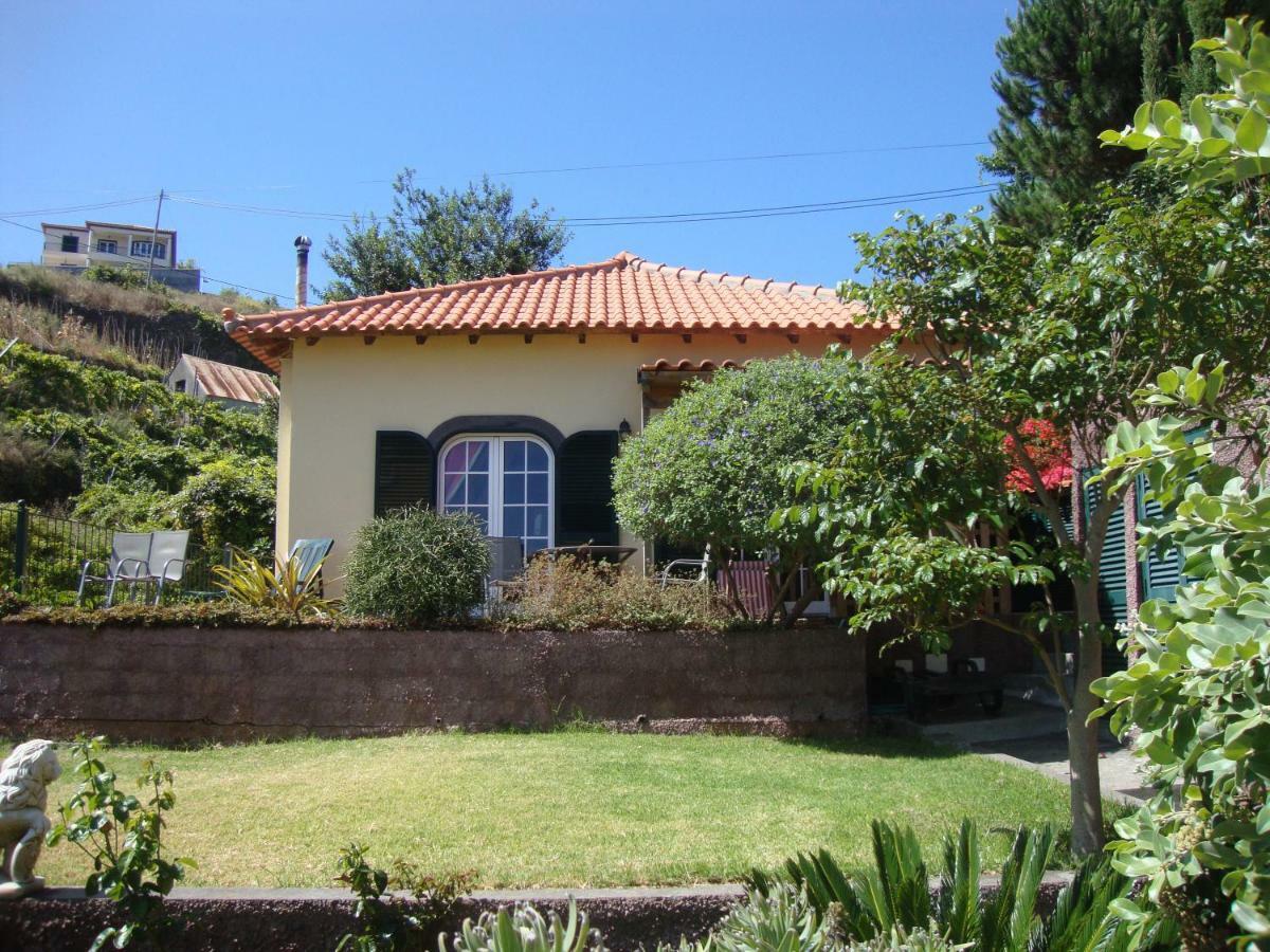 Blooming Botanic Houses Estreito Da Calheta Exterior photo
