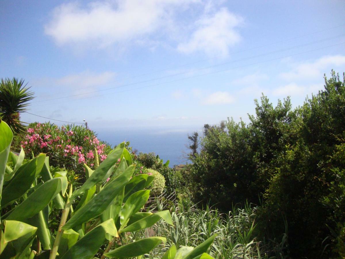 Blooming Botanic Houses Estreito Da Calheta Exterior photo